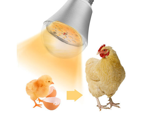 مزرعة الدجاج إضاءة LED مقاومة للماء أضواء عكس الضوء 9W