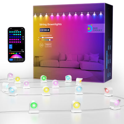 مصابيح RGB IP68 المقاومة للماء LED Eave For Christmas Decoration