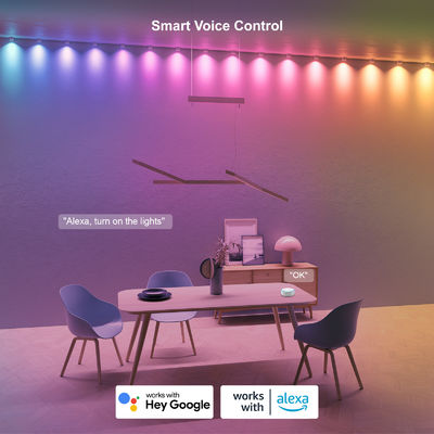 مصابيح RGB IP68 المقاومة للماء LED Eave For Christmas Decoration