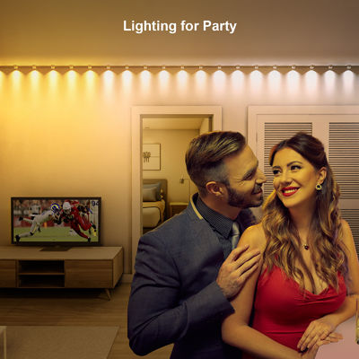 مصابيح RGB IP68 المقاومة للماء LED Eave For Christmas Decoration