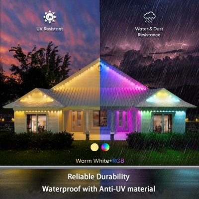 Pixel Light عيد الميلاد ديكور المنزل الملون 2024 RGB LED قابلة للبرمجة شكل IP65 ضوء عطلة مقاوم للماء