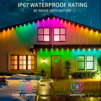 Pixel Light عيد الميلاد ديكور المنزل الملون 2024 RGB LED قابلة للبرمجة شكل IP65 ضوء عطلة مقاوم للماء