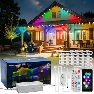 Pixel Light عيد الميلاد ديكور المنزل الملون 2024 RGB LED قابلة للبرمجة شكل IP65 ضوء عطلة مقاوم للماء