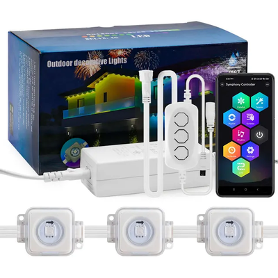 Pixel Light عيد الميلاد ديكور المنزل الملون 2024 RGB LED قابلة للبرمجة شكل IP65 ضوء عطلة مقاوم للماء